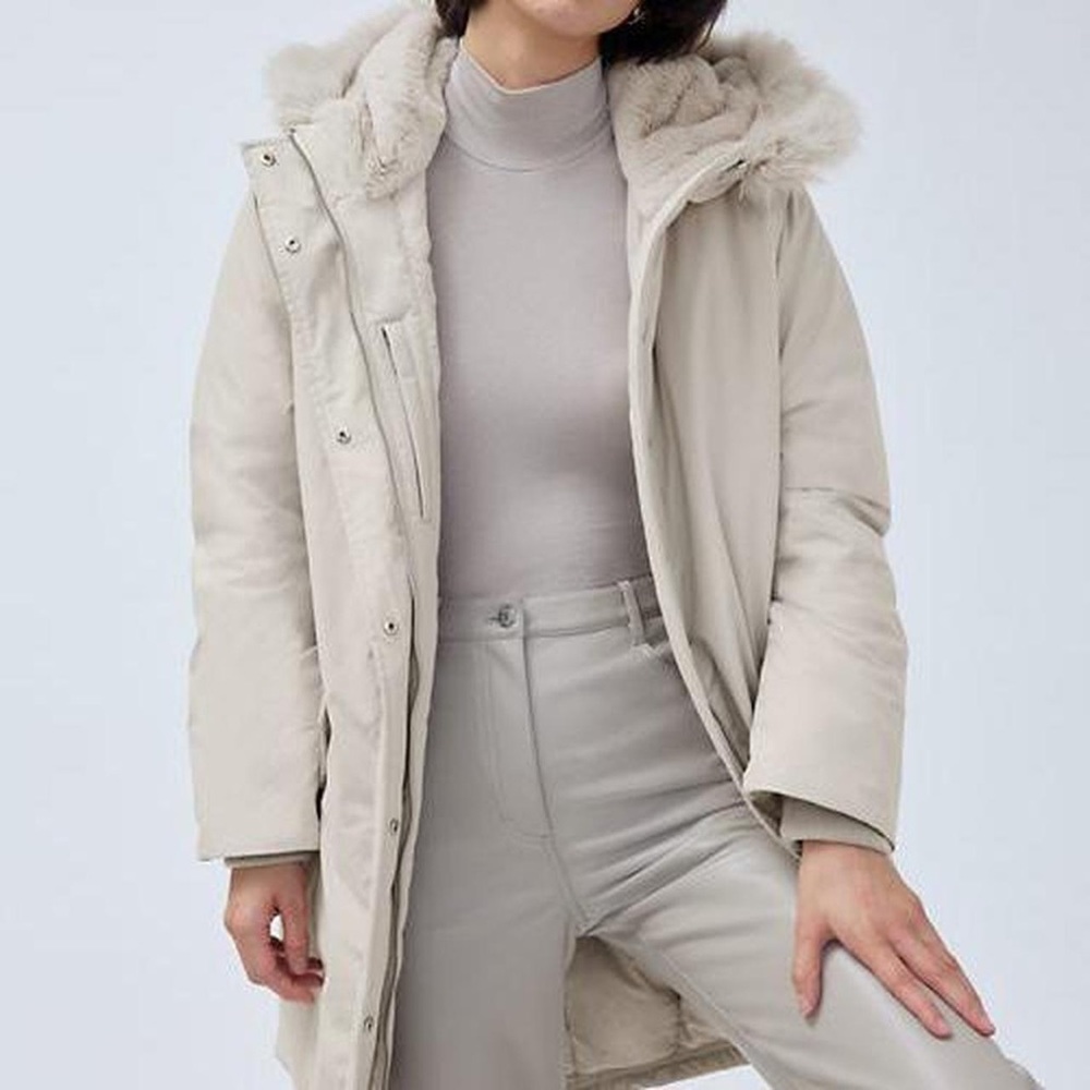 Aritzia Mont Blanc Parka